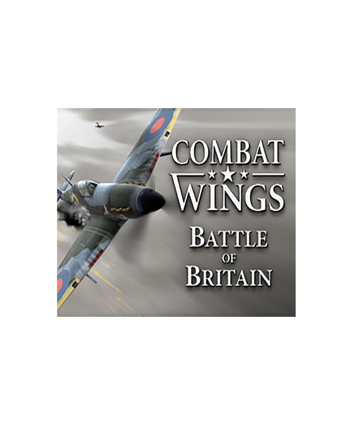 Combat Wings: Battle of Britain Steam Key GLOBAL